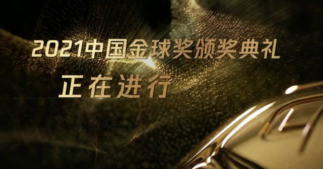 国产视频网站在线观看
