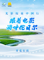 亚洲精品456在线观看