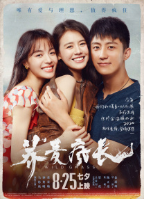 狠狠色狠狠色综合系列