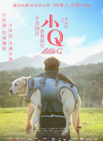 美女视频黄色的