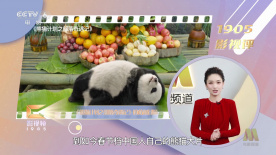 精品国产一区二区三区香蕉事